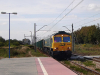 66004
